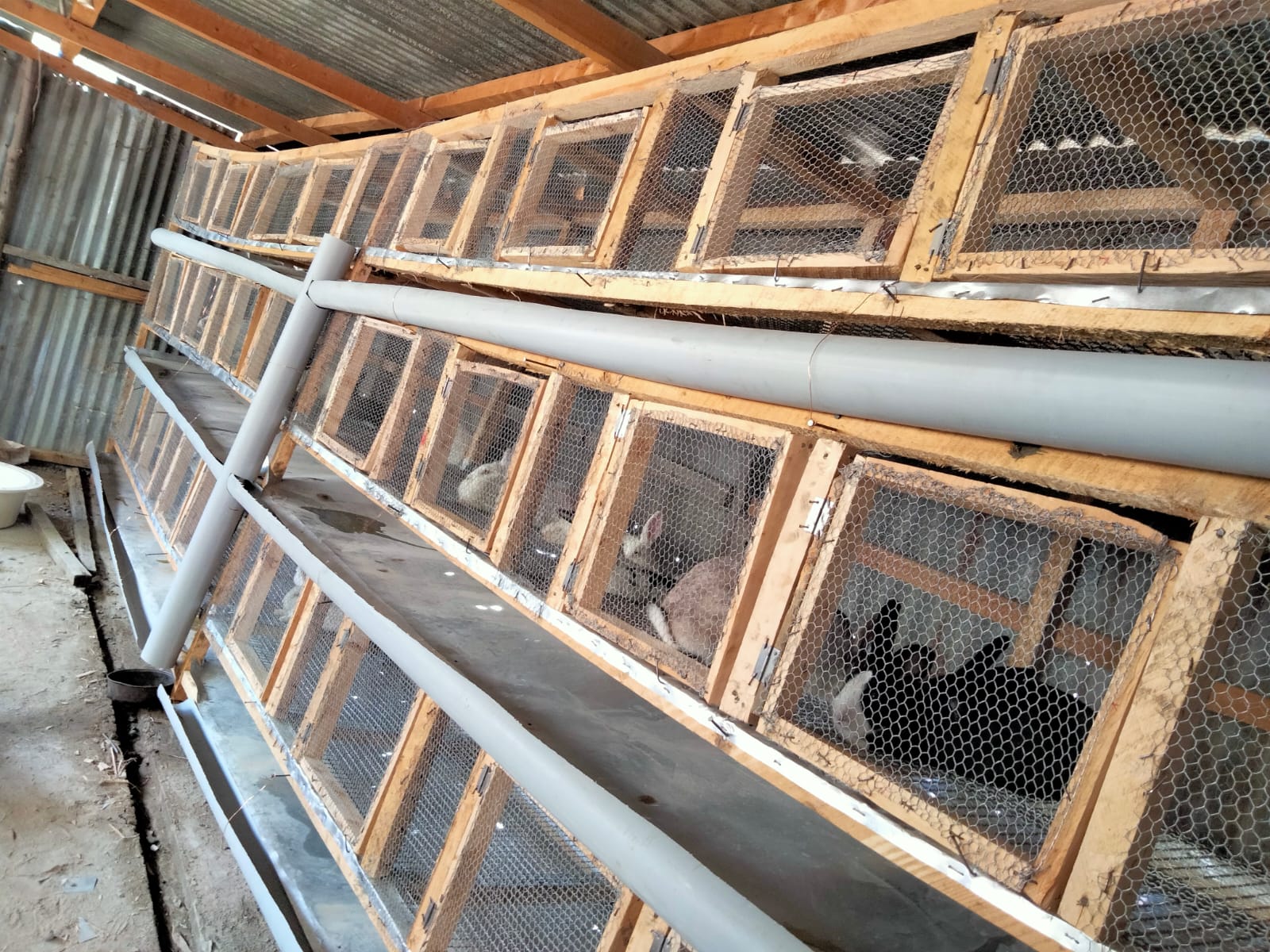 Rabbit Hutch