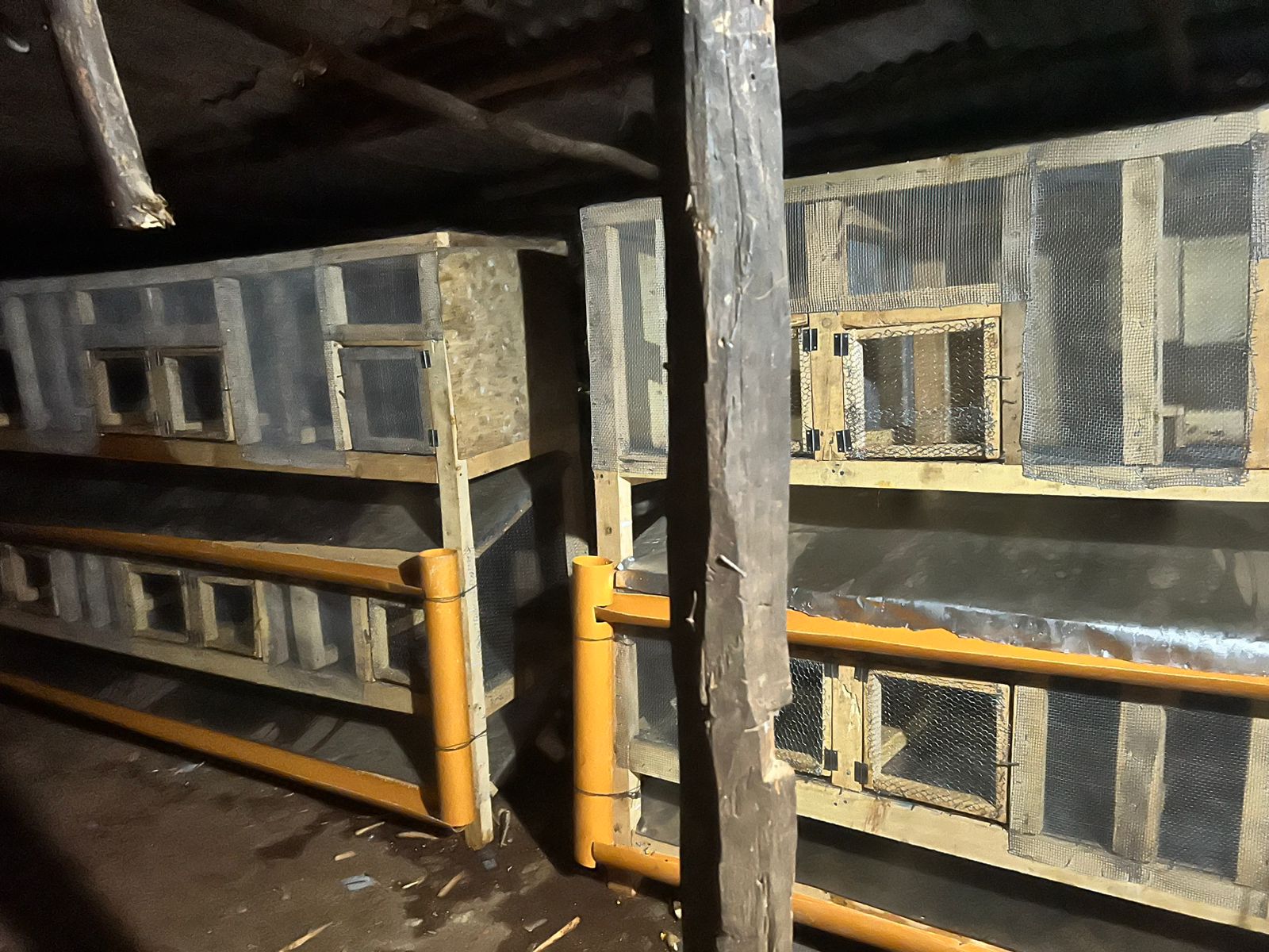 Spacious Hutch