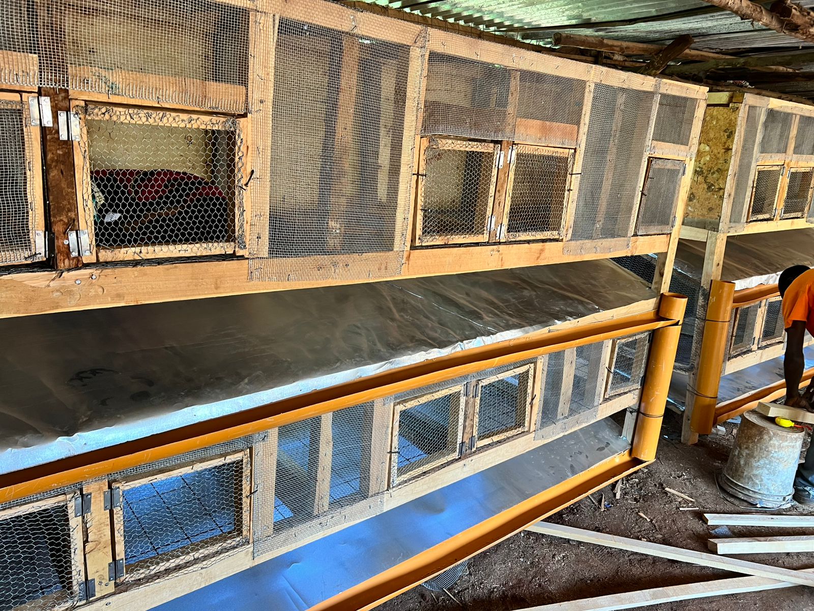 Rabbit Cage Design