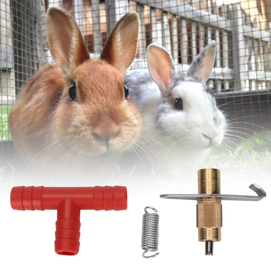 Rabbit Fur