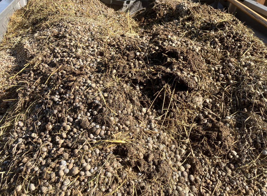 Rabbit Manure